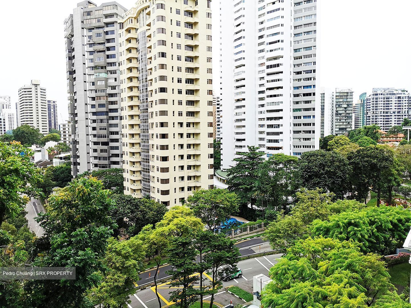 The Laurels (D9), Condominium #556158201